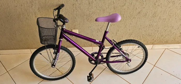 Bicicleta Infantil Aro 20