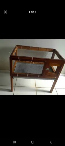 Criadouro de galinha