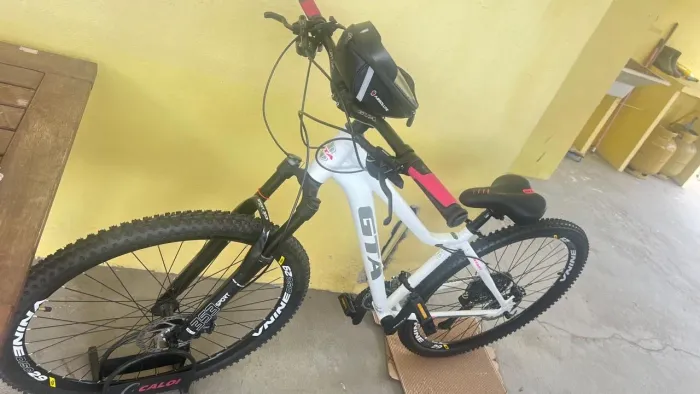 Bicicleta