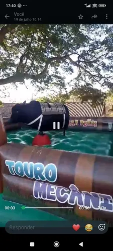 Venda Touro mecânico  3cv com  inversor. Melhor motor para festas grandes.