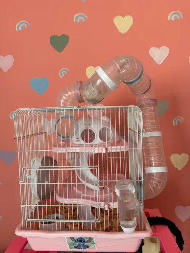 Hamster e Gaiola