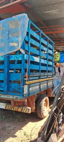 Trasporte de animais