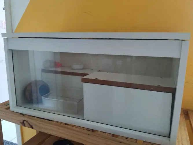 Terrário Hamster