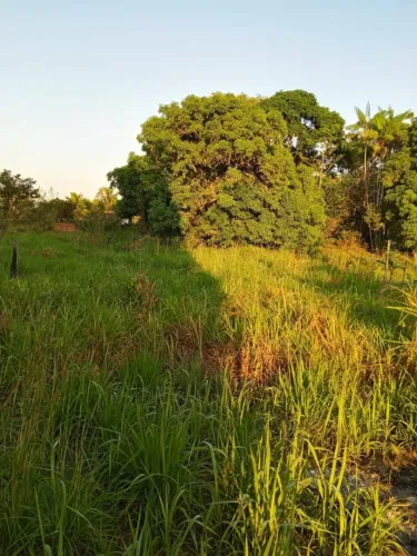 Vendo esse terreno no bairro belo jardim 2