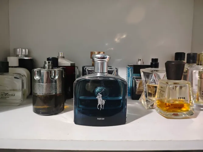 Polo Deep Blue