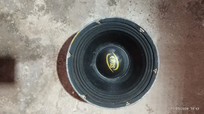 Alto falante pro 8 polegadas