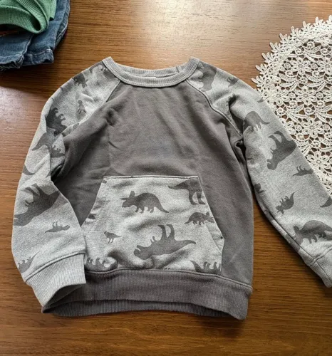 moletom carters cinza dinossauros 5t