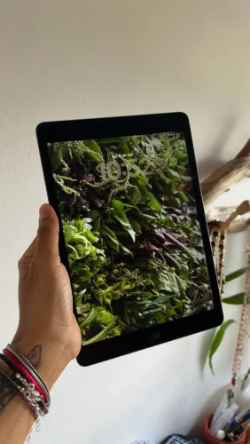 Ipad 9a geração 256gb