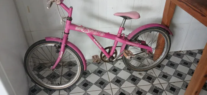 Bicicleta pequena 