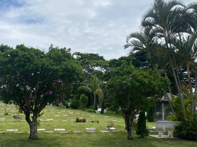 Jazigo à Venda - Cemitério Parque das Flores | Área Nobre e Legalizado - 3 gavetas