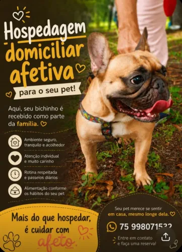Hospedagem Domiciliar Para Pets