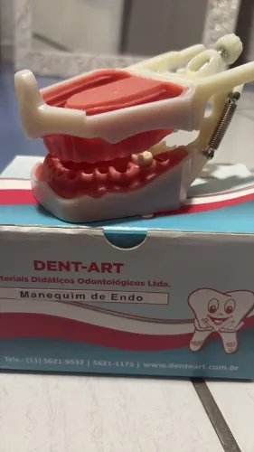 Manequim endodontia Dent-Art (nunca usado)