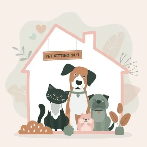 Hospedagem Pet + passeios na Barra/Graça