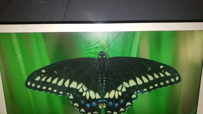 Tv e monitor philips branca 24 polegadas
