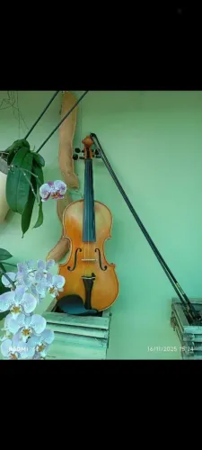 Violino