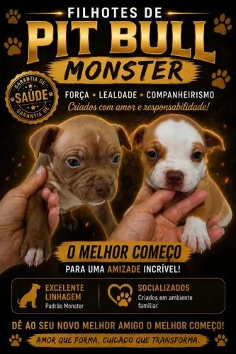Vendo filhotes de pit Bull monster