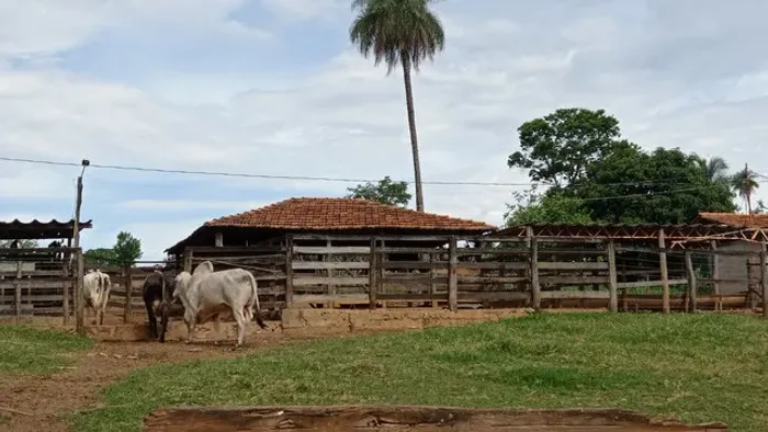 Fazenda formada Beserra BR 020 Formosa Goiás escriturada 28 hectares