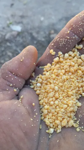Farinha de mandioca 50kg (fornecedor do maranhao direto pra Brasília))