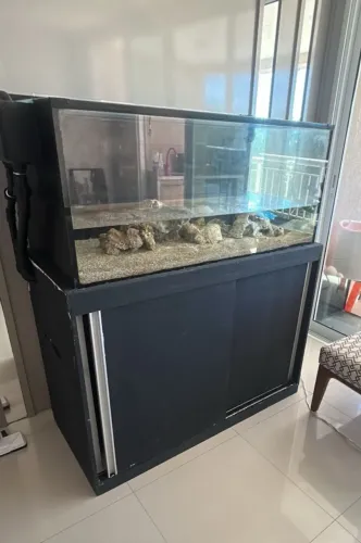 Aquário Marinho