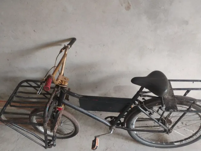 Bicicleta cargueira