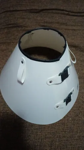Cone/Colar de recuperação para cachorro