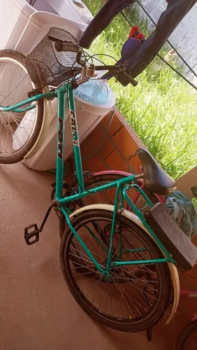Bicicleta
