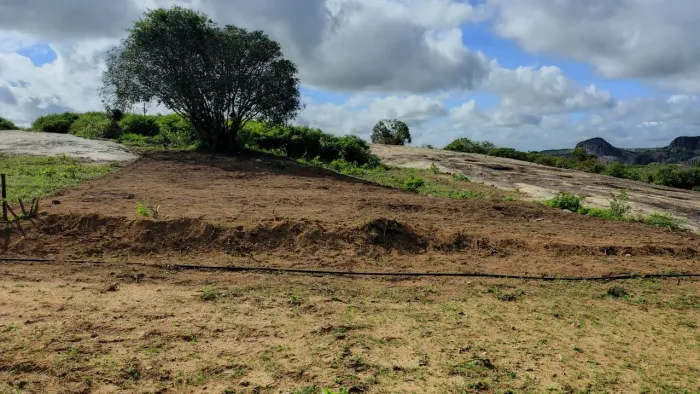 Terreno em Serra De São Bento RN