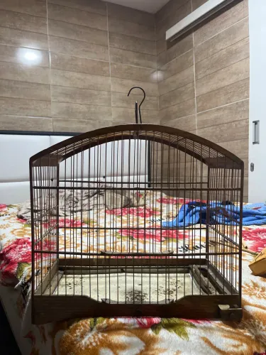 Gaiola baianinha em bom estado