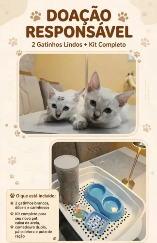 DOAÇÃO