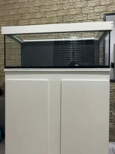 Aquário novo por encomenda