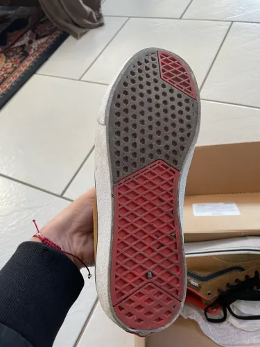 Vans x Anti Hero TNT Advanced Prototype nº 42