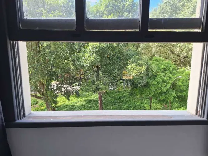 Apartamento : Padrão / Residencial / Centro