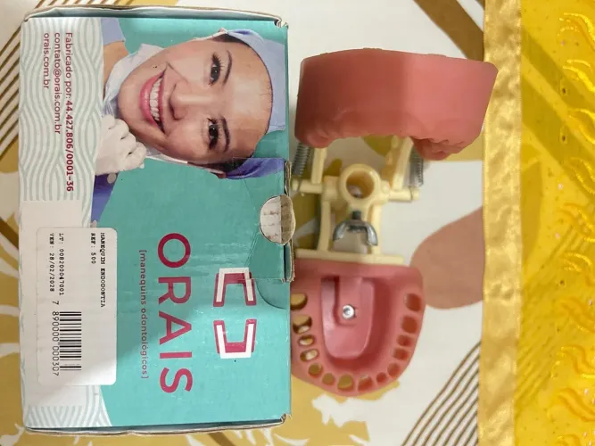 Manequim de endodontia Orais