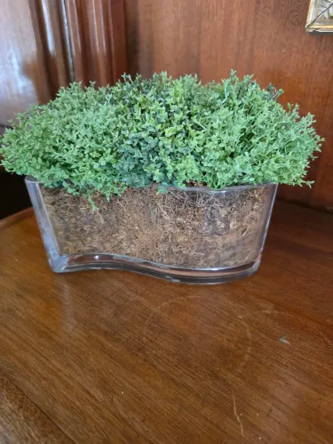 Arranjo artificial vaso vidro 23X15