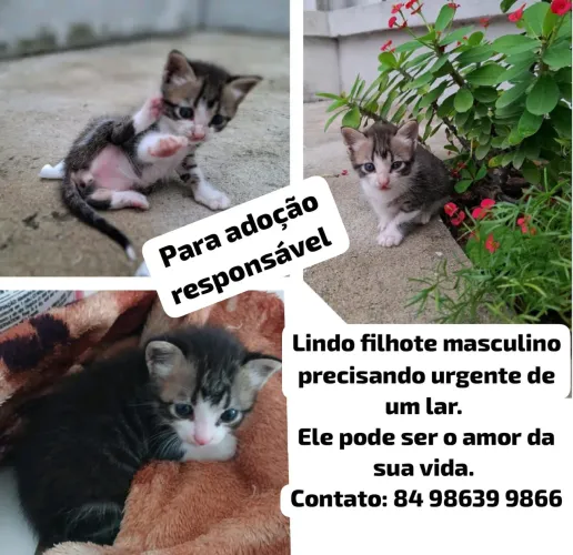 Doação responsável 