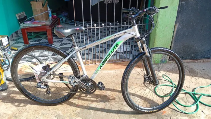 Bike Absolute wild aro 29