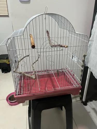 Gaiola para Pássaros PET