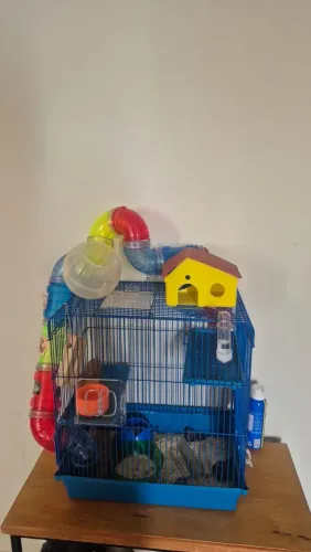 Gaiola de hamster