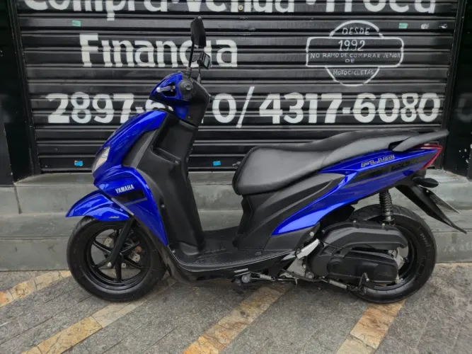 Fluo 125 ano 2024