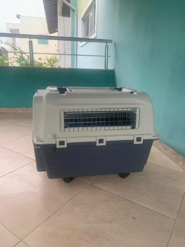 Caixa transportadora pet - porão- nunca usada