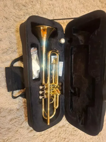 Instrumentos musicais trompete.