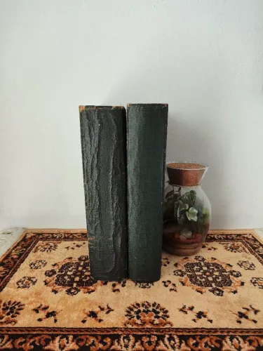 Raridade: Traité D'anatomie Topographique (Testut & Jacob) - 2 Volumes (1929/1931)