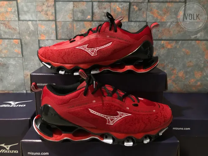 Mizuno prophecy 13 