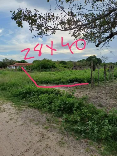 Terreno
