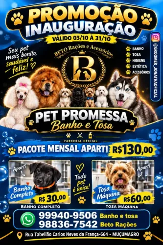 Banho e tosa Valentina