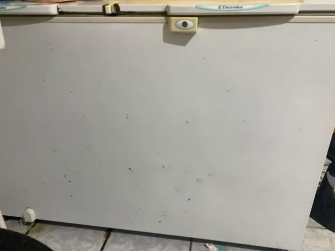 Freezer