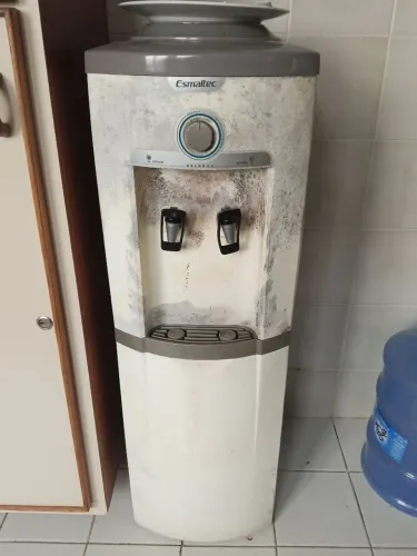 Gelagua
