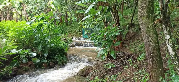 CHÁCARA FORMADA COM RIBEIRÃO EM PASSA-QUATRO - MG