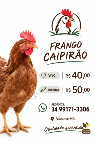 Frango caipirão em Vazante MG