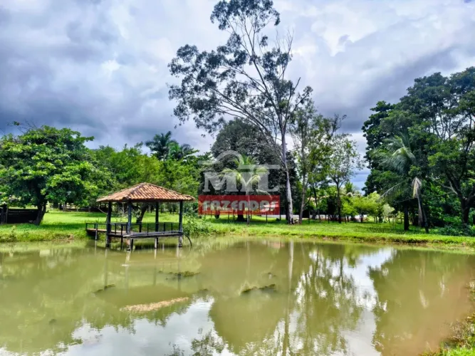 Sítio 10,8 Alqueires em Goiás Velho - GO